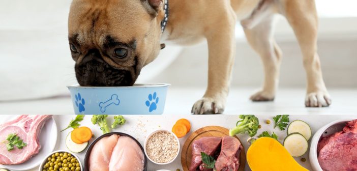 raw ingredients featured below a dog eating a home made meal out of his dog bowl