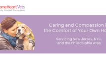 woman and her dog featured on a banner for homeheart vets