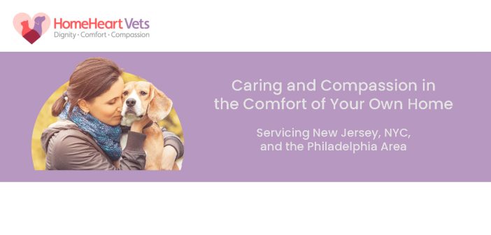 woman and her dog featured on a banner for homeheart vets