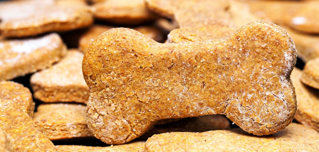 close up of homemade dog treats that are shaped like bones