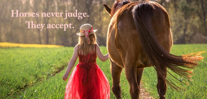 little girl leading her horse