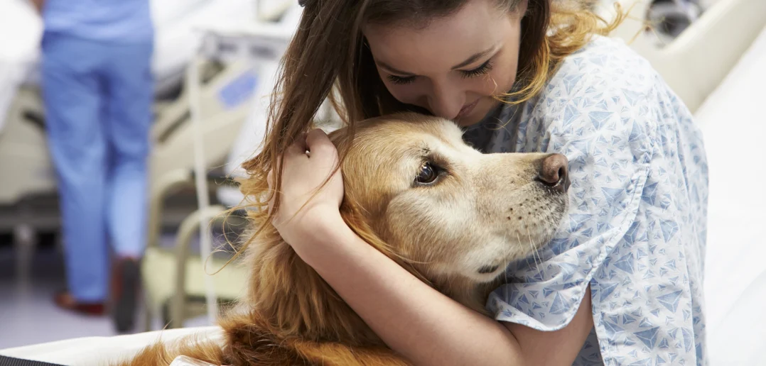 Therapy Dog Visiting Young Female Patient In Hospital