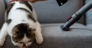 How to keep your house clean with pets