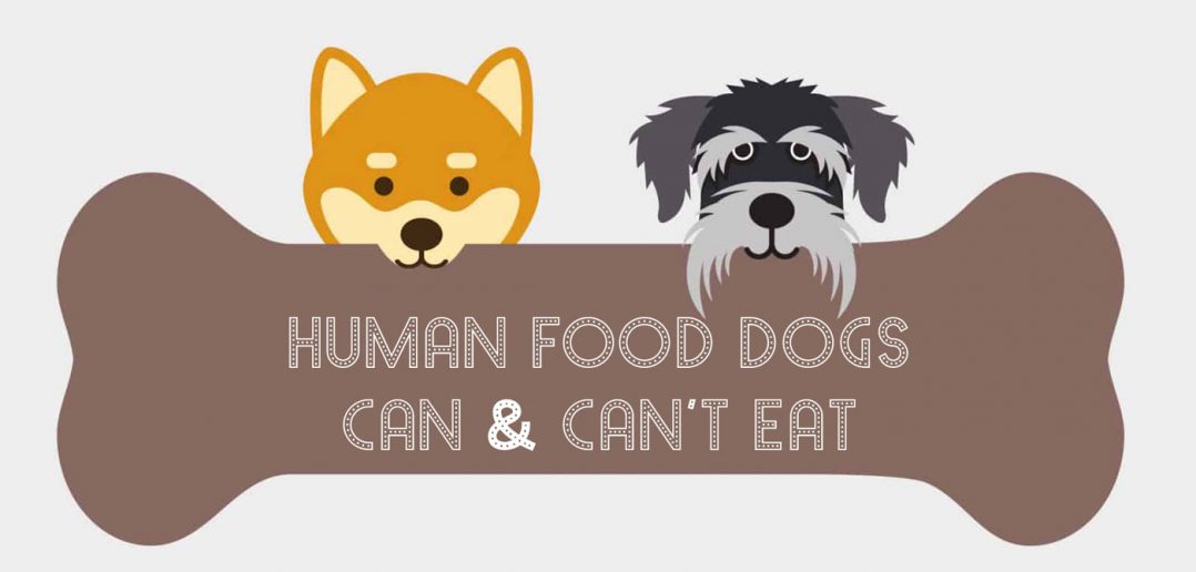 graphic with two dogs and a bone human foods dogs can and can't eat infographic feature