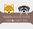 graphic with two dogs and a bone human foods dogs can and can't eat infographic feature