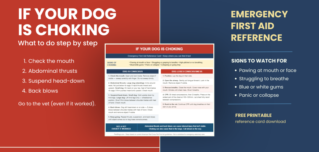 Red and navy featured image showing dog choking first aid steps with embedded reference card and signs of choking checklist