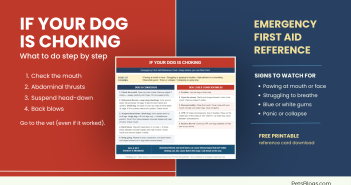 Red and navy featured image showing dog choking first aid steps with embedded reference card and signs of choking checklist
