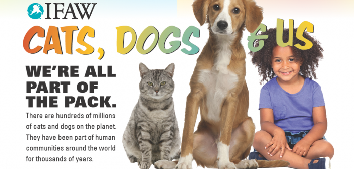 IFAW cats dogs and us educational poster