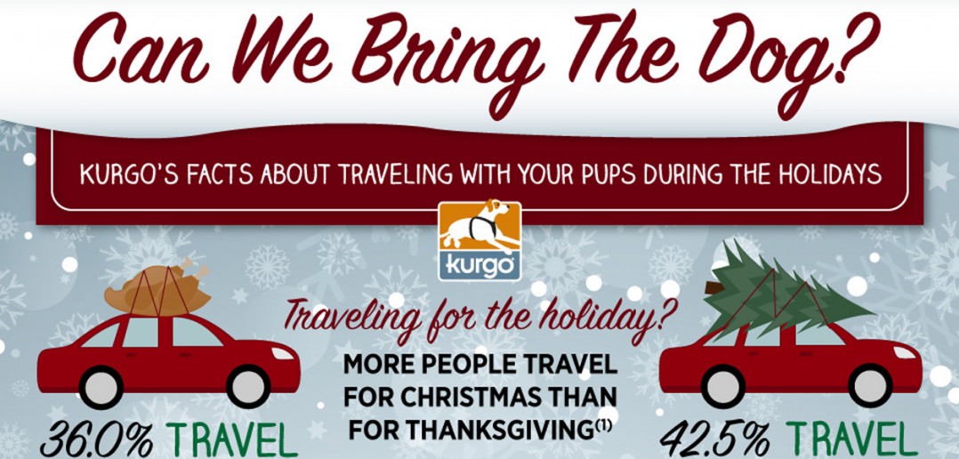 Kurgo holiday travel infographic header