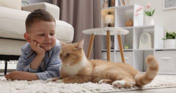 Child lying on the floor beside a calm cat in a living room.