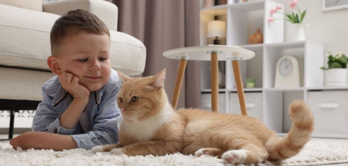 Child lying on the floor beside a calm cat in a living room.