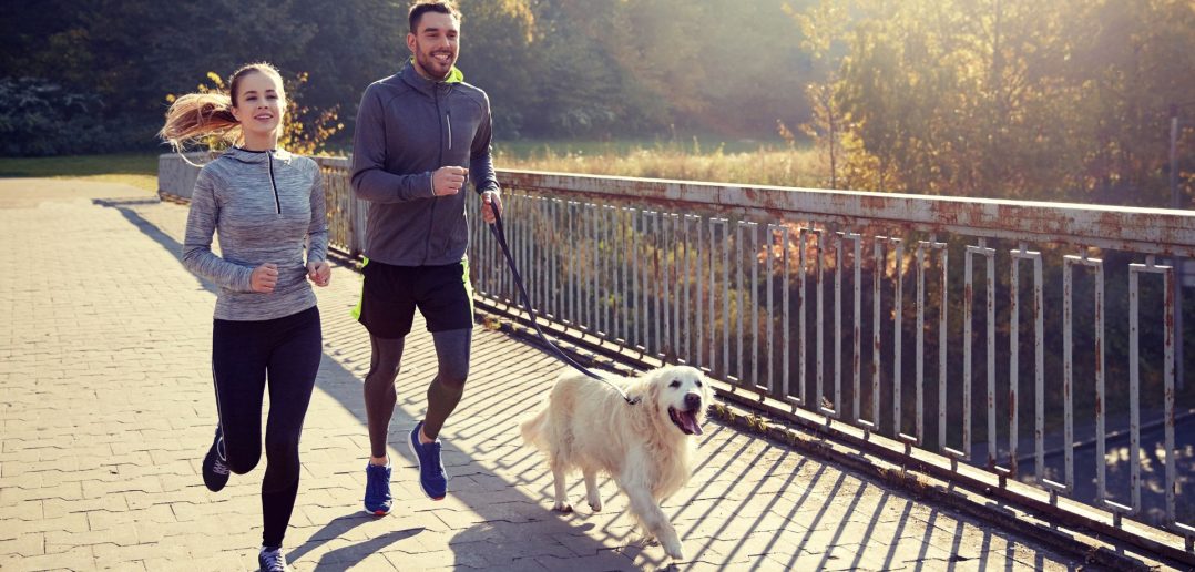 Couple jogging with their dog on a leash along a paved path in early fall