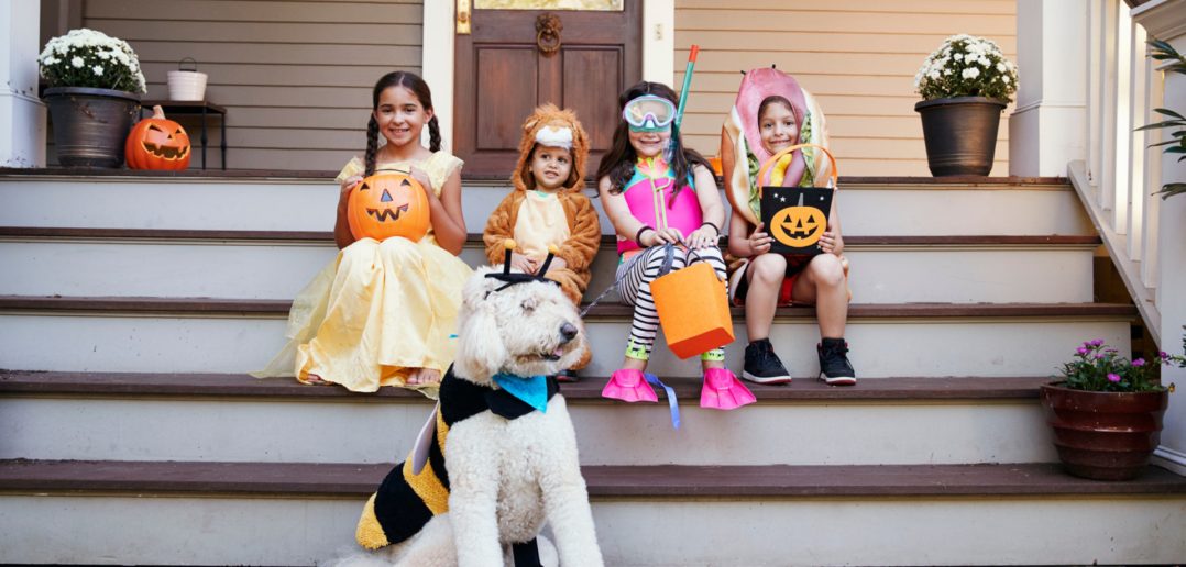 Dog wearing a bumble bee costume in front of four children in Halloween costumes on a porch.