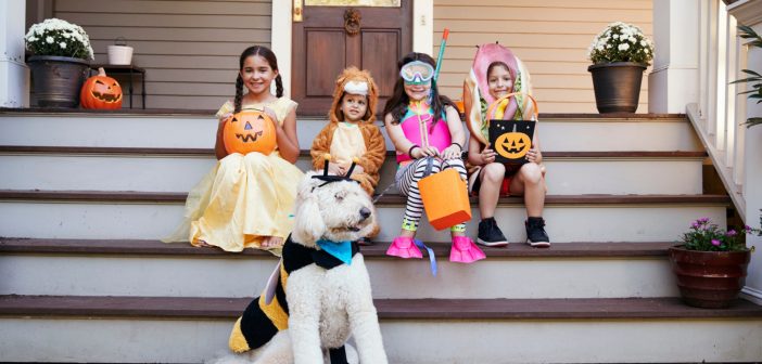 Dog wearing a bumble bee costume in front of four children in Halloween costumes on a porch.