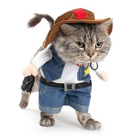 cat in a cowboy costume