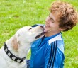 yellow labrador retriever licking teenage boy's face as a sign of affection