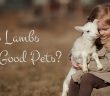 a little girl holding a baby lamb