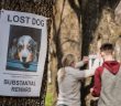 couple hanging lost dog flyers