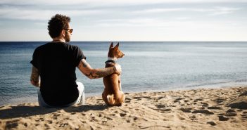 a man sitting with his basenji dog on the beach