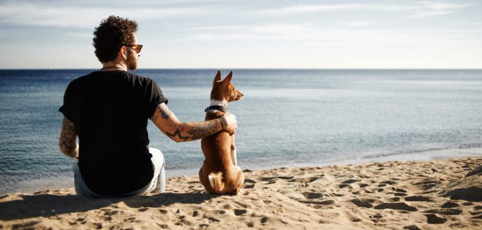 a man sitting with his basenji dog on the beach