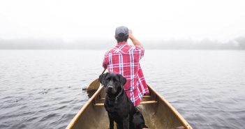 man and dog in a boat