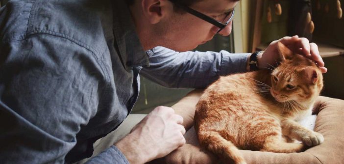 a man caring for his orange tabby cat at home