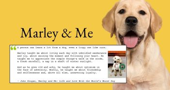 Marley & Me book quote