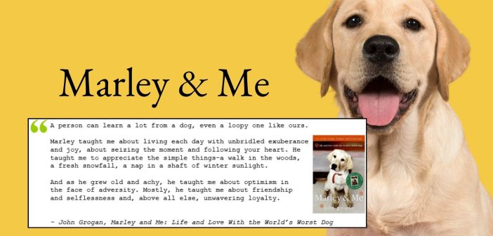 Marley & Me book quote