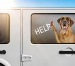illustration of a mastiff dog writing help on the window from inside a locked car on a hot day
