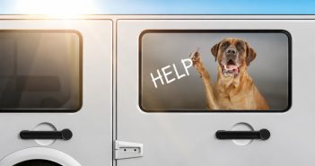 illustration of a mastiff dog writing help on the window from inside a locked car on a hot day