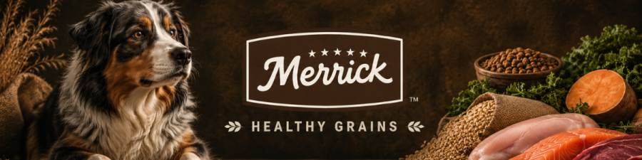 Merrick Healthy Grains dog food banner with Bernese mountain dog and whole food ingredients