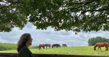 Woman quietly observing horses grazing in a pasture beneath a tree