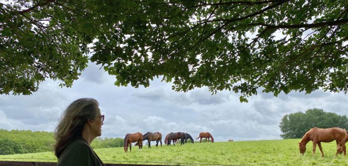 Woman quietly observing horses grazing in a pasture beneath a tree