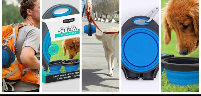double sided collapsible pet bowls