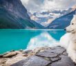 dog laying on rocks in front of blue lake and beautiful mountains