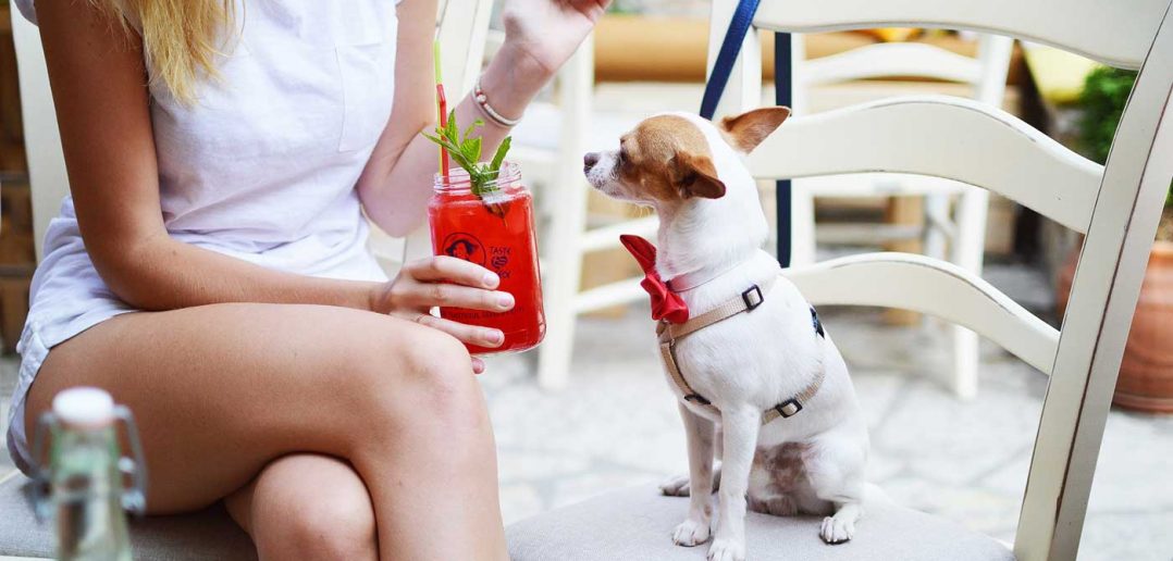 girl and her dog out at a restaurant