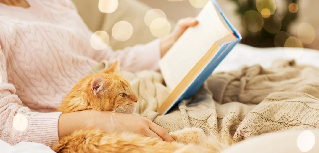 A relaxed ginger cat snuggled against a person wearing a pink sweater, who is reading a book on a cozy bed with soft lighting in the background.