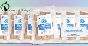 bags of blueberry energy snaps from organic pet boutique
