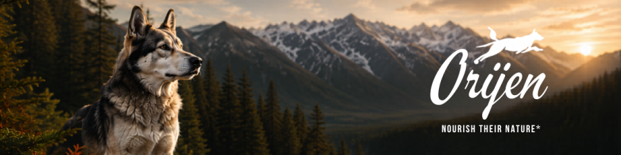 Orijen dog food banner with husky in mountain wilderness setting