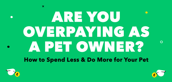 banner graphic that says are you overpaying as a pet owner