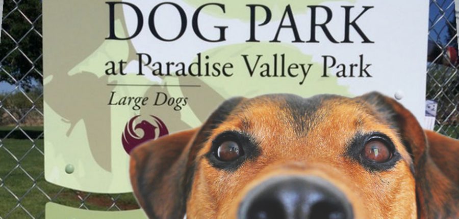 dog in front of the paradise valley dog park sign