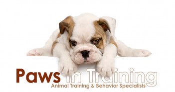 paws in training logo