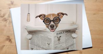 Dog wearing glasses reading a newspaper titled “Daily Dog”