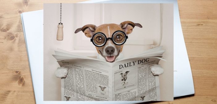 Dog wearing glasses reading a newspaper titled “Daily Dog”