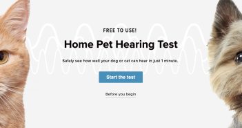 free at home pet hearing test banner featuring a cat and a dog