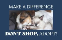 pet adoption banner that says make a difference, don't shop, adopt