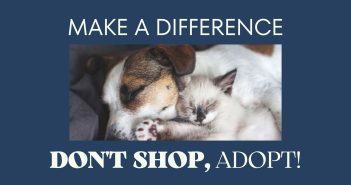 pet adoption banner that says make a difference, don't shop, adopt