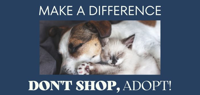 pet adoption banner that says make a difference, don't shop, adopt