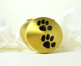 How You Can Honor Your Pet With Their Ashes