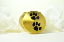 urn with paw prints for your pet's ashes